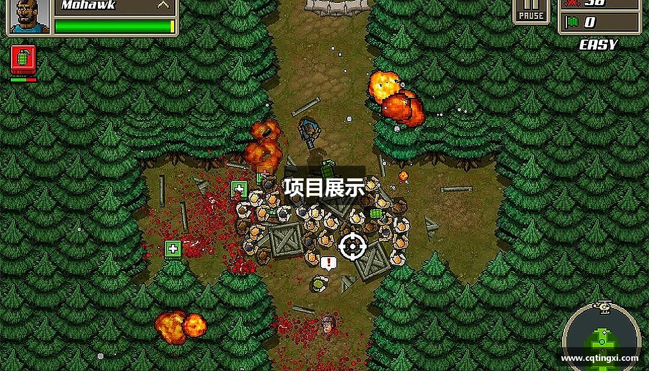 项目展示